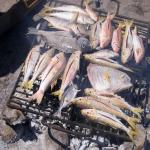 images/stories/Tour-nord-Madagascar/grillade-poisson-diego.jpg