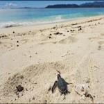 images/stories/iranja/excursion_iranja_nosy_be-2.jpg