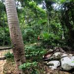 images/stories/komba-tanikely/la_richeche_de_nosy_komba_et_tanikely.jpg