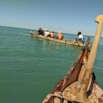 images/stories/lokobe-reserve/excursion_rendonnee_lokobe_reserve_nosy_be_10.jpg