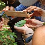 images/stories/lokobe-reserve/lemurien_reserve_lokobe.jpg