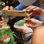 images/stories/lokobe-reserve/lokobe_reserve_parc_nosy_be.jpg