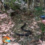 images/stories/lokobe-reserve/parc_de_lokobe_reserve.jpg