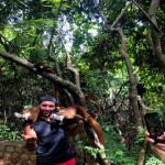 images/stories/lokobe-reserve/reserve_de_lokobe_.jpg
