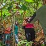 images/stories/lokobe-reserve/reserve_de_lokobe_excursion_nosy_be_parc_1.jpg