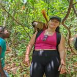 images/stories/lokobe-reserve/reserve_de_lokobe_excursion_nosy_be_parc_2.jpg