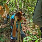 images/stories/lokobe-reserve/reserve_de_lokobe_excursion_nosy_be_parc_3.jpg