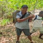 images/stories/lokobe-reserve/reserve_de_lokobe_excursion_nosy_be_parc_9.jpg