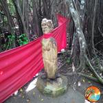 images/stories/lokobe-reserve/reserve_parc_de_lokobe.jpg