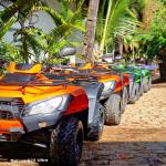 images/stories/quad/IMG_6564.jpg