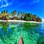 images/stories/sakatia/Nosy_sakatia.jpg