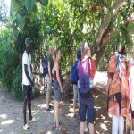 images/stories/sakatia/regroupement_sakatia.jpg