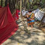 images/stories/tour-de-l-ile-nosy-be/tour_de_liles_nosy_be_excursion_1.jpg