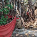 images/stories/tour-de-l-ile-nosy-be/tour_de_liles_nosy_be_excursion_3.jpg