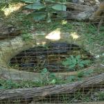 images/stories/tour-de-l-ile-nosy-be/tour_de_liles_nosy_be_excursion_nosy_be_1.jpg