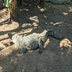 images/stories/tour-de-l-ile-nosy-be/tour_de_liles_nosy_be_excursion_nosy_be_15.jpg