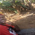 images/stories/tour-de-l-ile-nosy-be/tour_de_liles_nosy_be_excursion_nosy_be_17.jpg