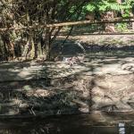 images/stories/tour-de-l-ile-nosy-be/tour_de_liles_nosy_be_excursion_nosy_be_6.jpg
