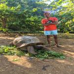 images/stories/tour-de-l-ile-nosy-be/tour_de_liles_nosy_be_excursion_nosy_be_9.jpg